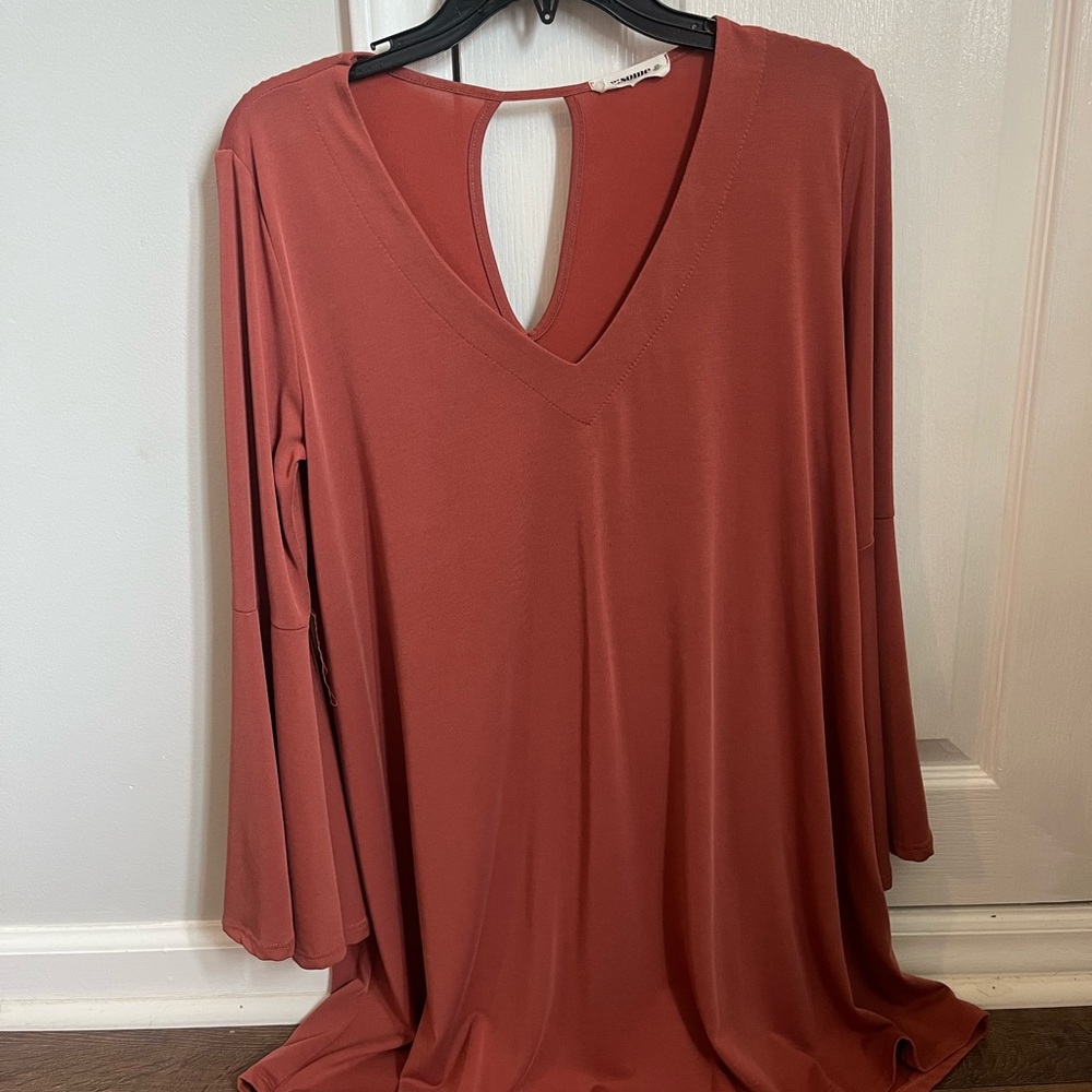Rust V-Neck Long Sleeve Top